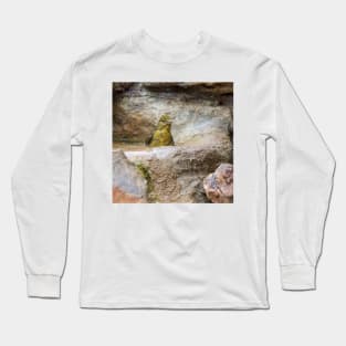 Bath Time for Female Summer Tanager Long Sleeve T-Shirt